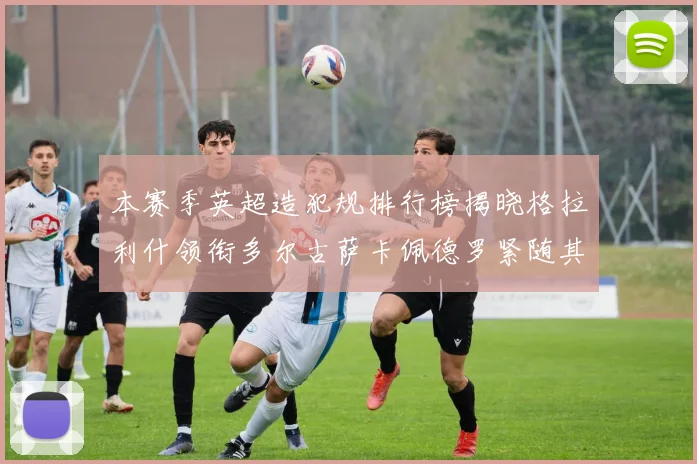 本赛季英超造犯规排行榜揭晓格拉利什领衔多尔古萨卡佩德罗紧随其后